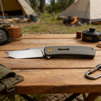 JJ336 D2 Steel Folding Knife